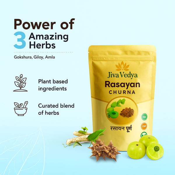 Rasayan Churna- Ayurvedic Immunity And Booster - Image 2