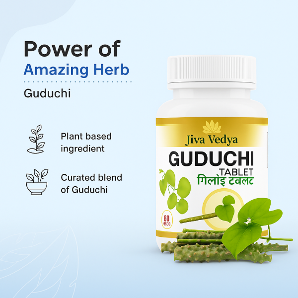 Guduchi Tablet- Best Ayurvedic Immunity Booster And Blood Purifier - Image 2