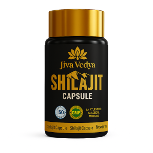 Shilajit Capsule- Ayurvedic Medicine For Strength & Stamina